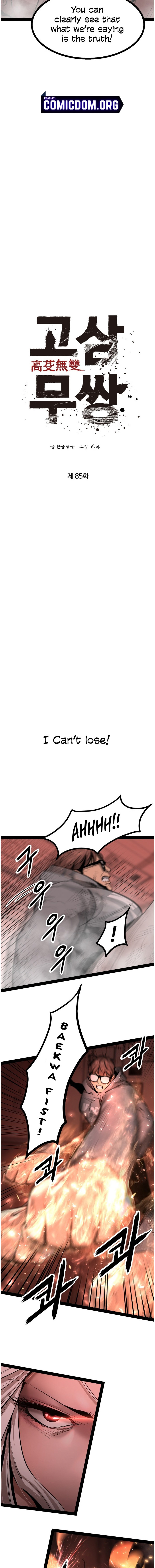 Page 2 of Chapter 85