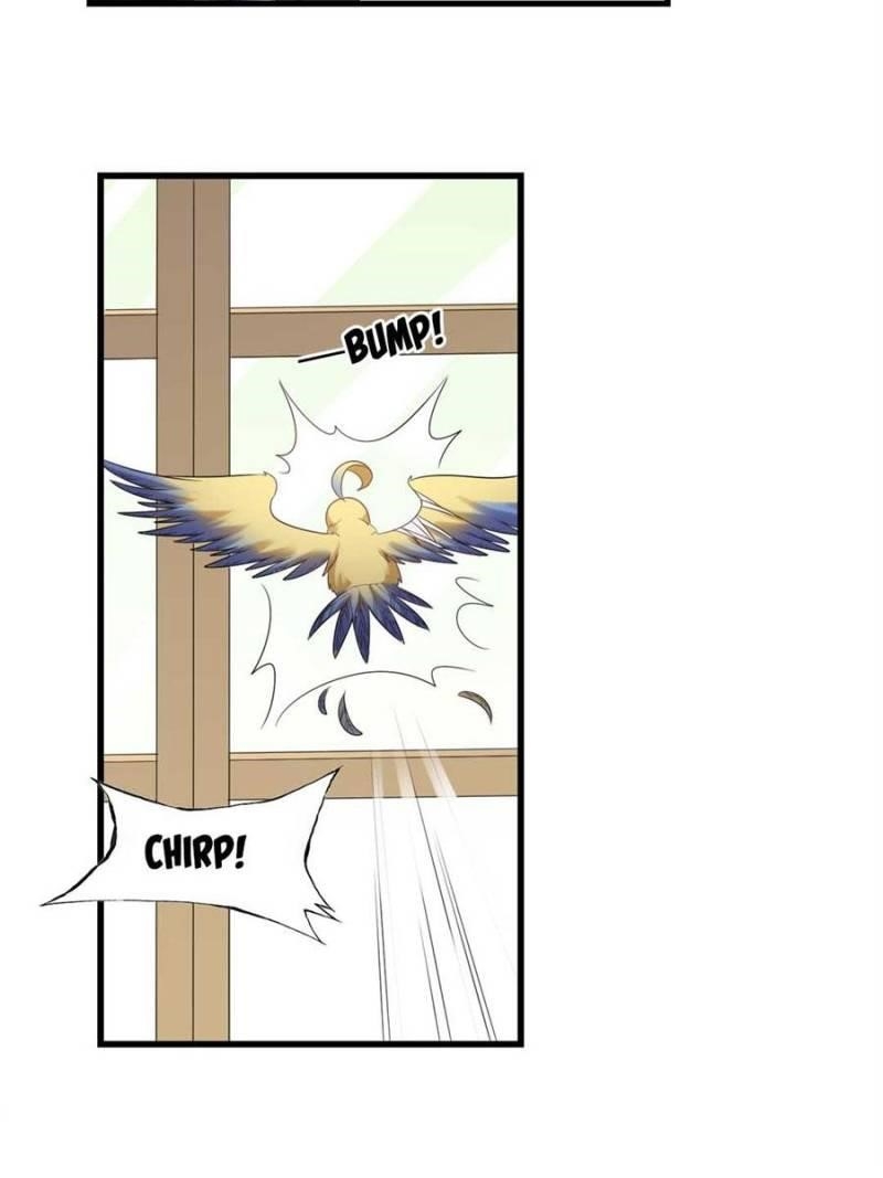 Page 41 of Chapter 147