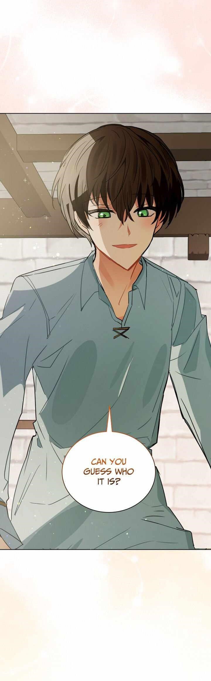Page 17 of Chapter 115