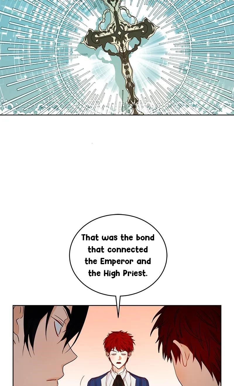 Page 43 of Chapter 58