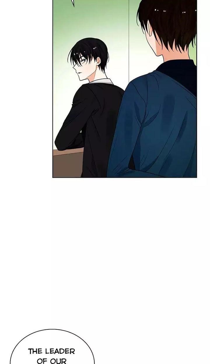 Page 43 of Chapter 61