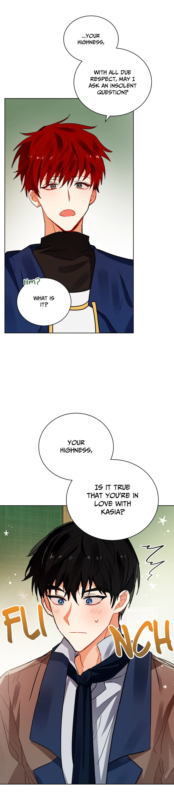 Page 13 of Chapter 95