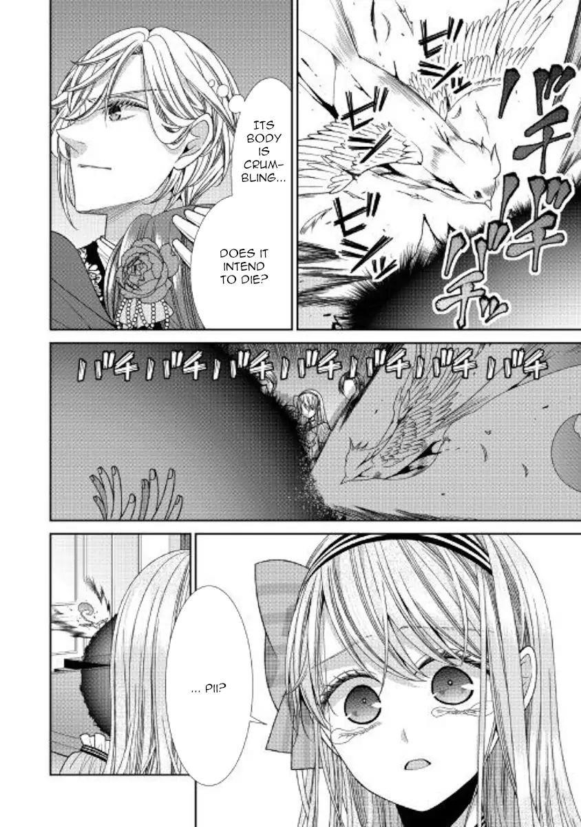 Page 14 of Chapter 20