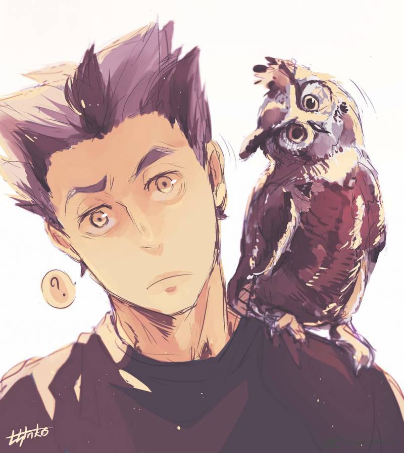 Page 19 of Chapter 195