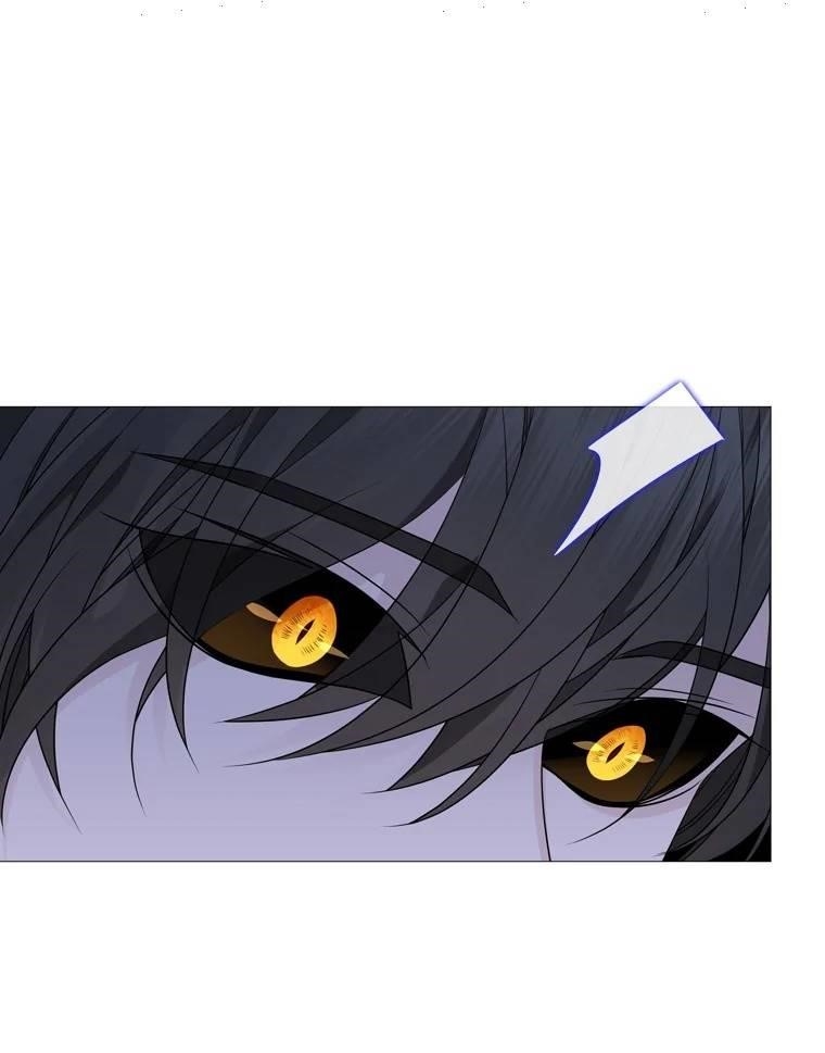 Page 63 of Chapter 313