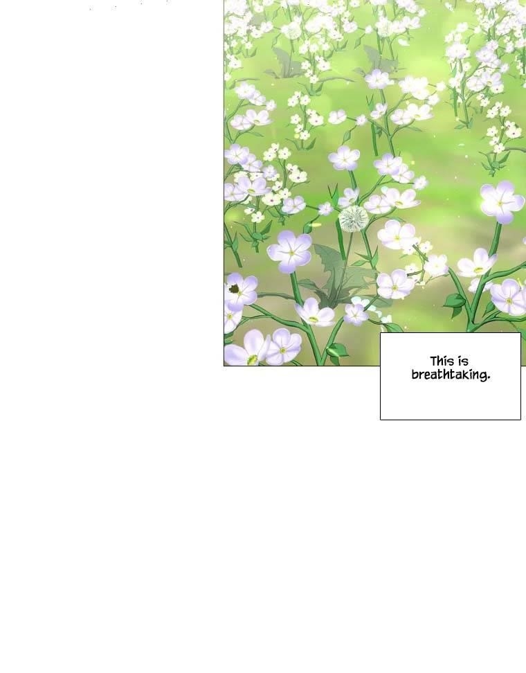 Page 43 of Chapter 315