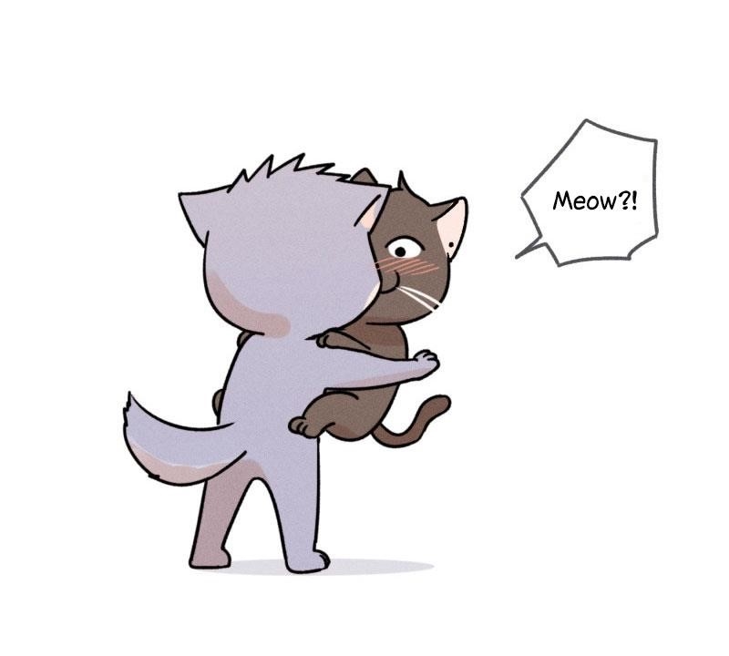 Page 52 of Chapter 107