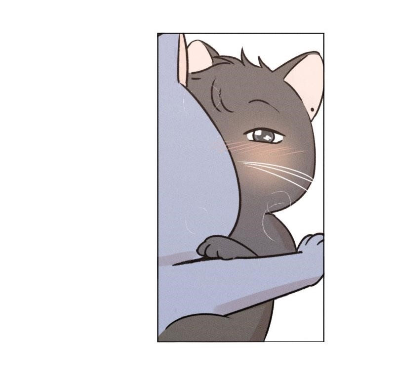 Page 53 of Chapter 107