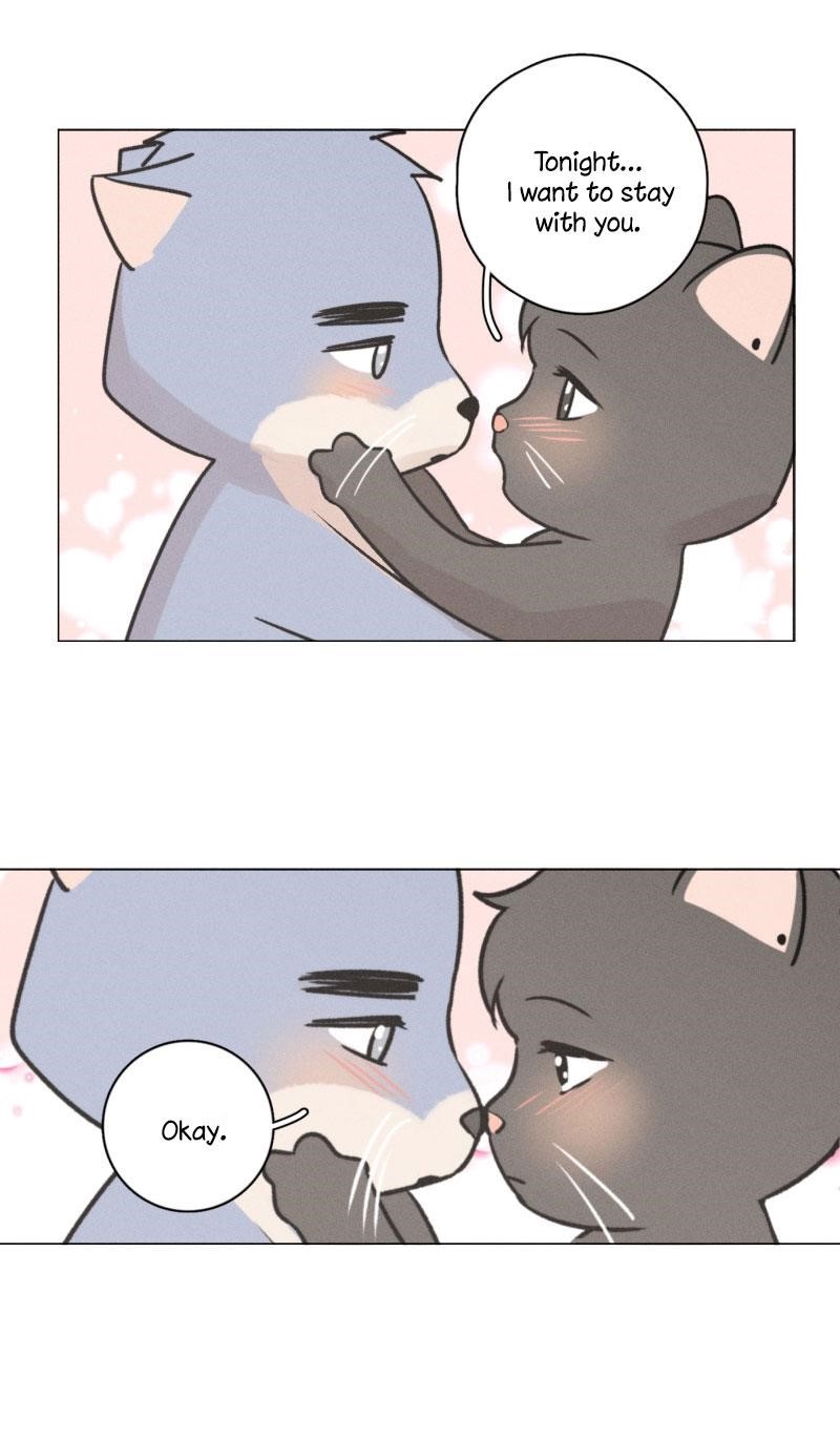 Page 55 of Chapter 107