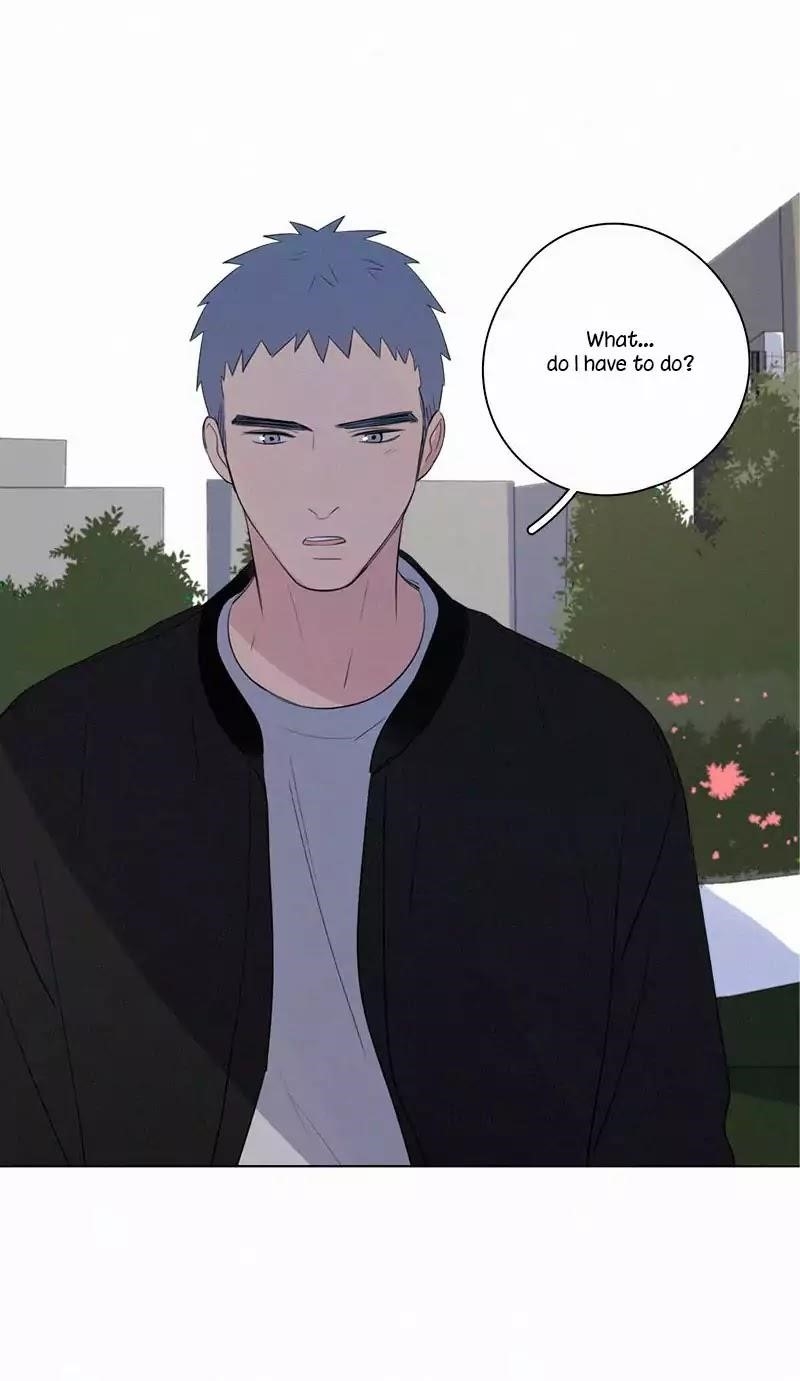 Page 41 of Chapter 57