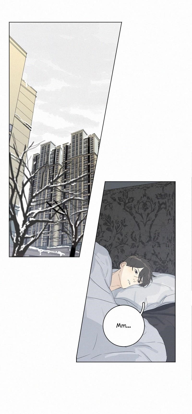 Page 19 of Chapter 95