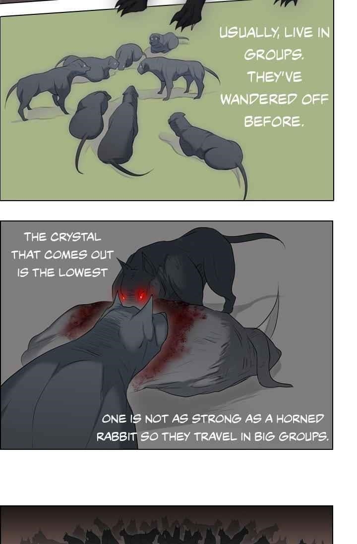 Page 19 of Chapter 11