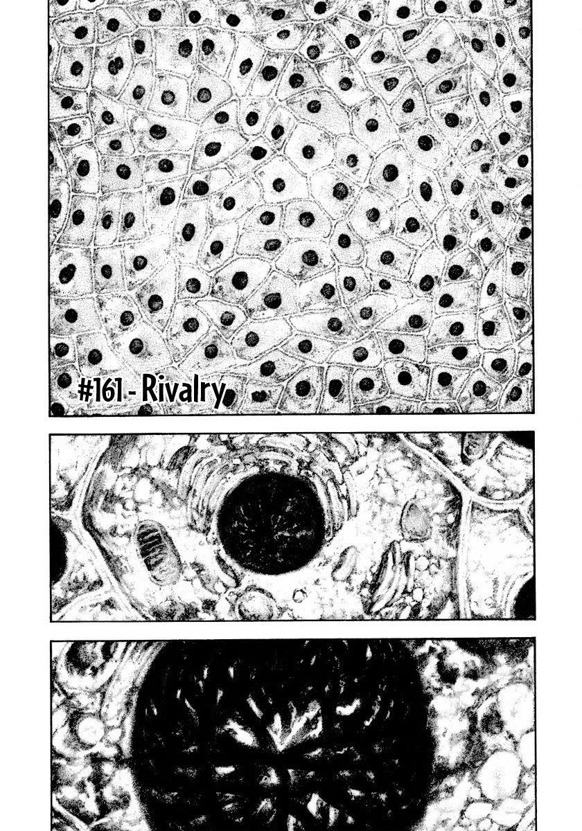 Page 2 of Chapter 161