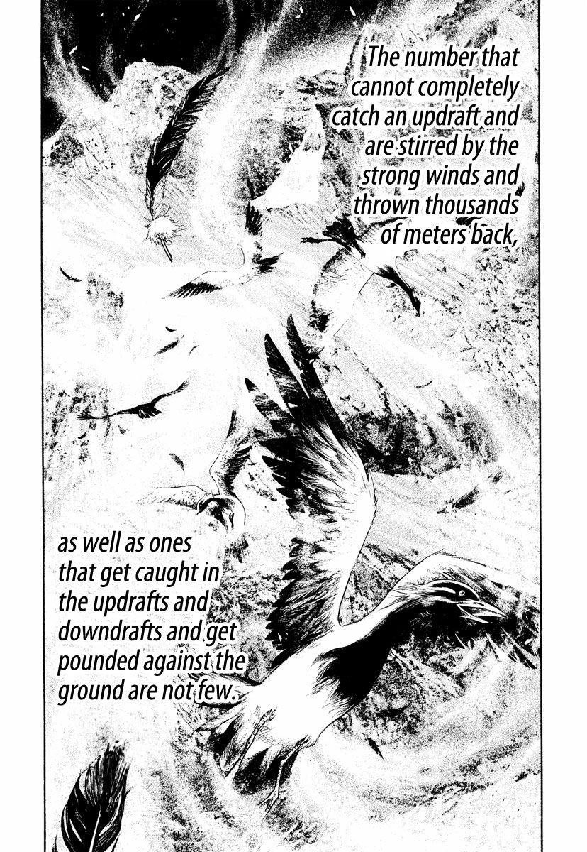 Page 13 of Chapter 168