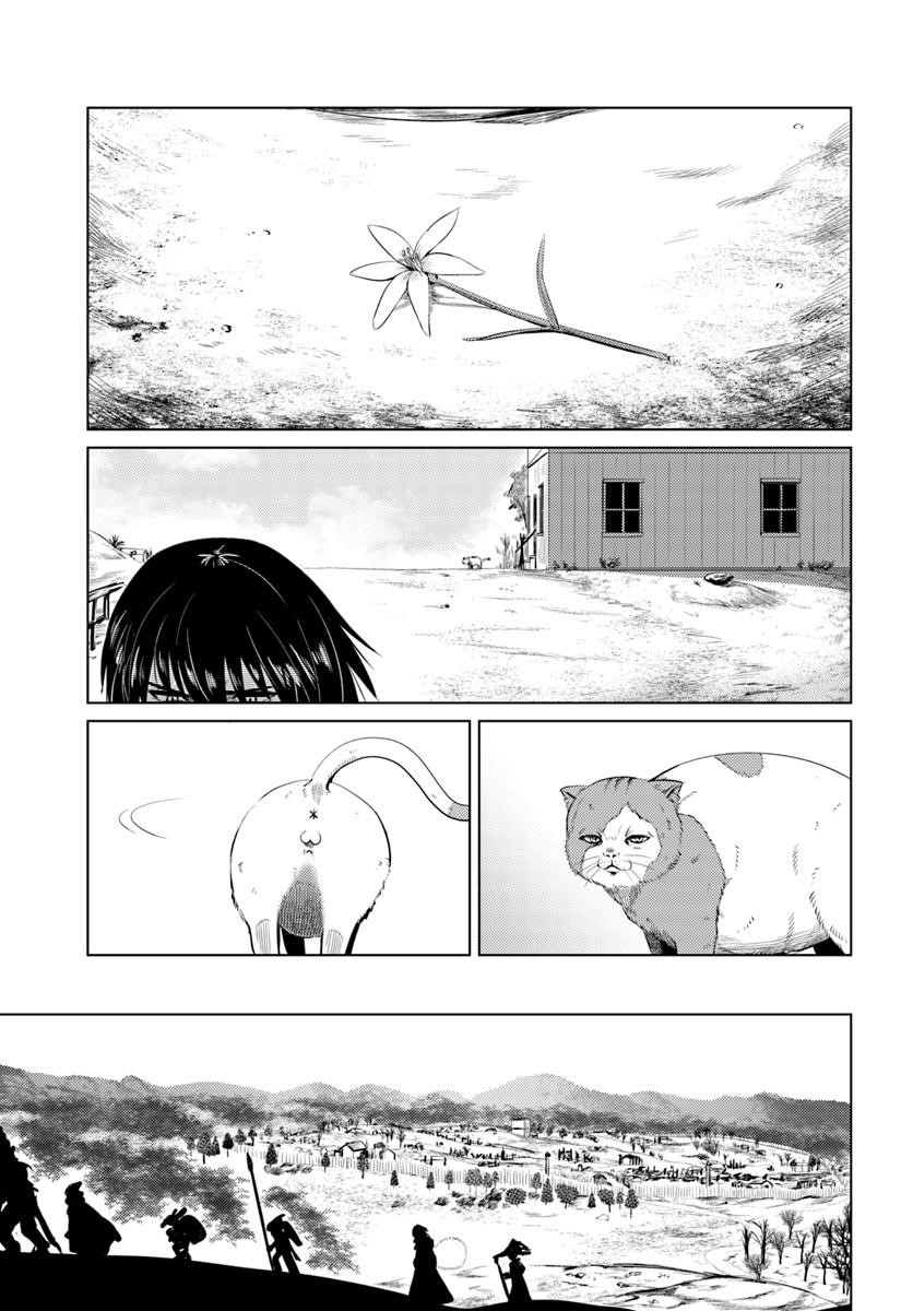 Page 14 of Chapter 11