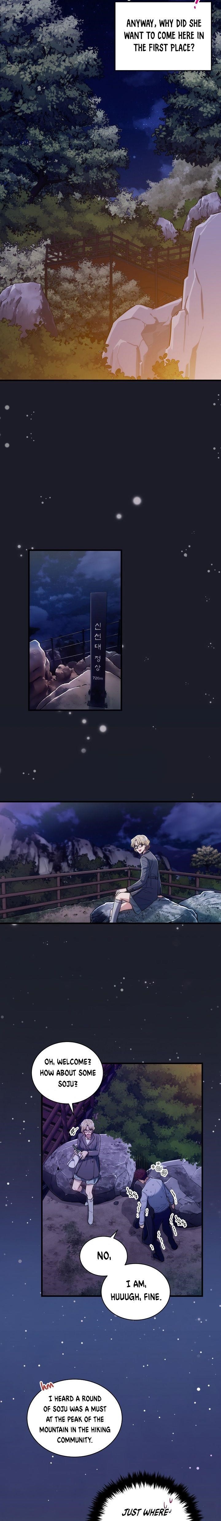 Page 13 of Chapter 96