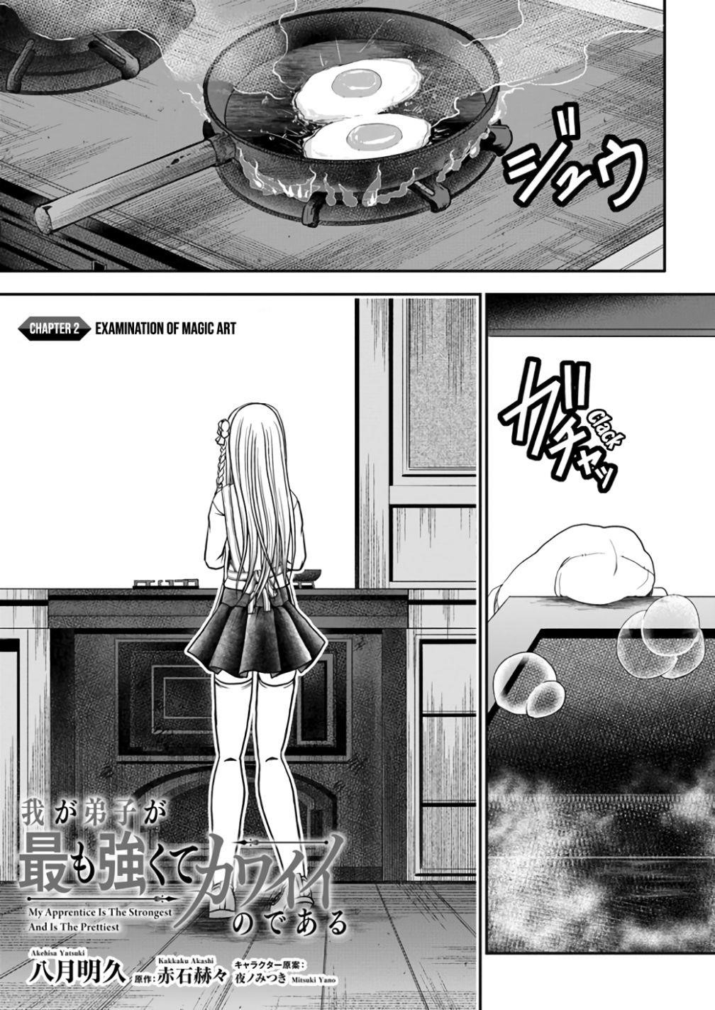 Page 1 of Chapter 2