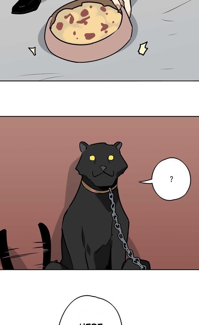 Page 25 of Chapter 19