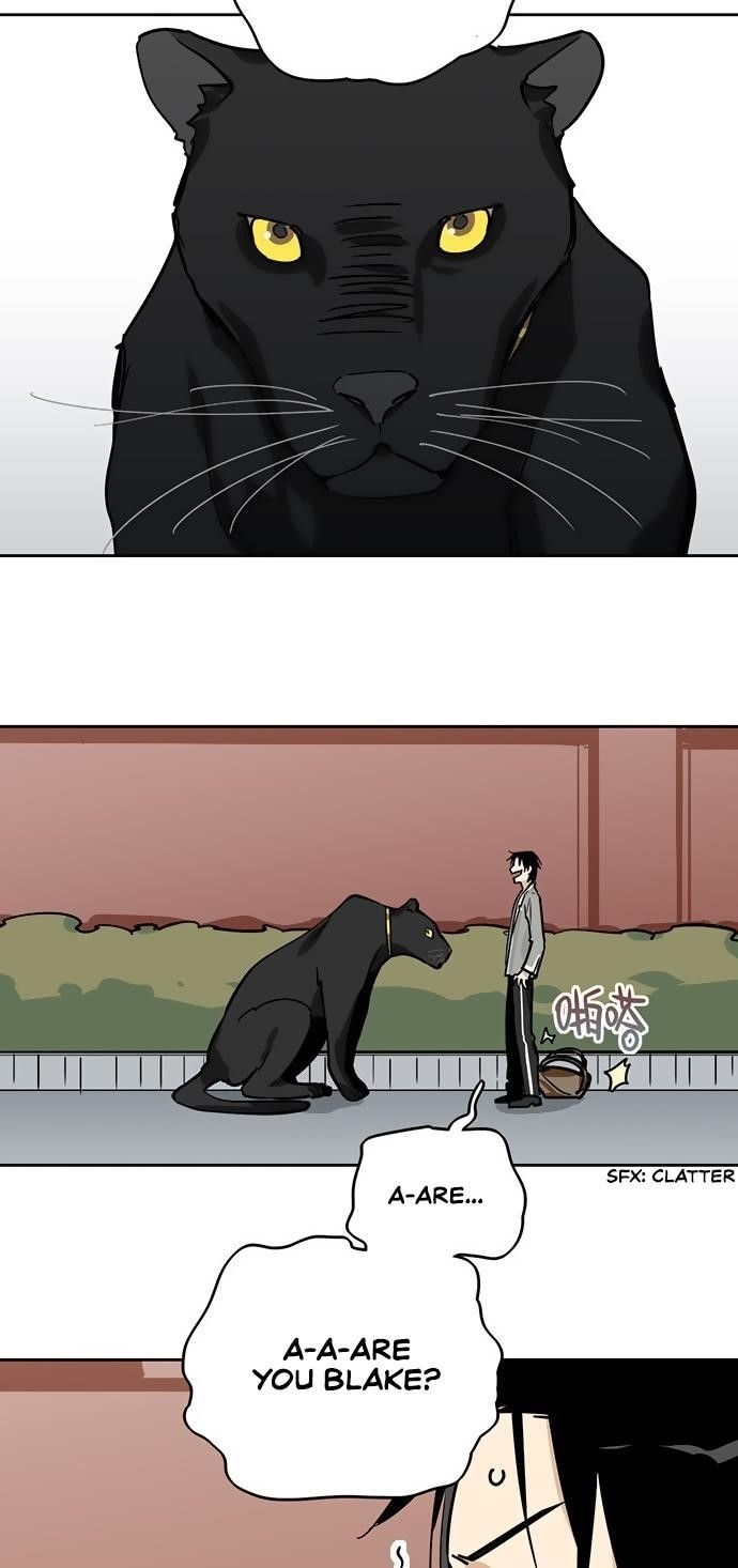 Page 19 of Chapter 9