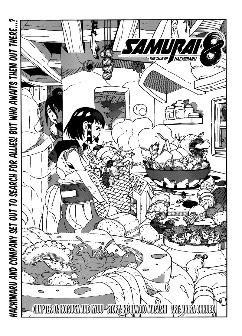 Page 1 of Chapter 17