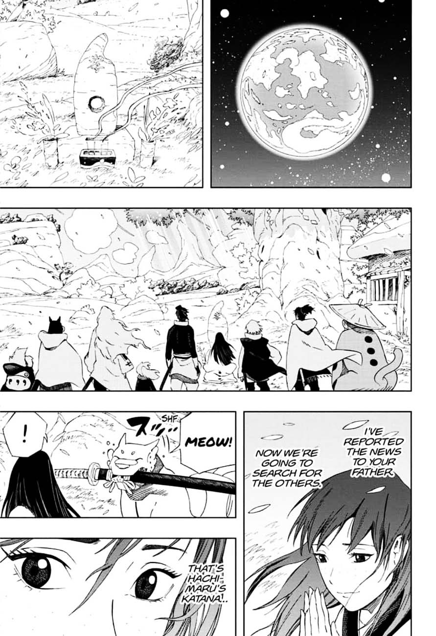 Page 17 of Chapter 43
