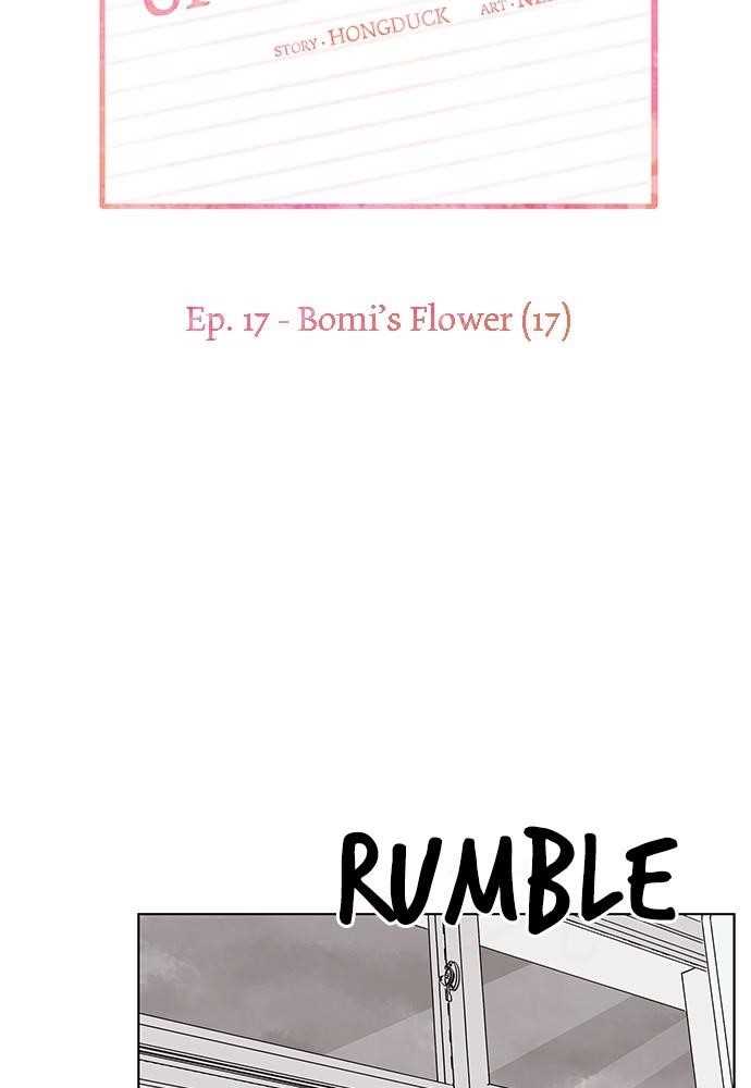 Page 15 of Chapter 17