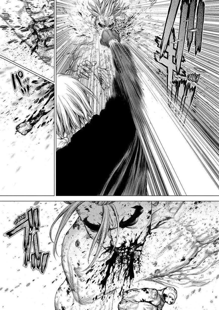 Page 15 of Chapter 161