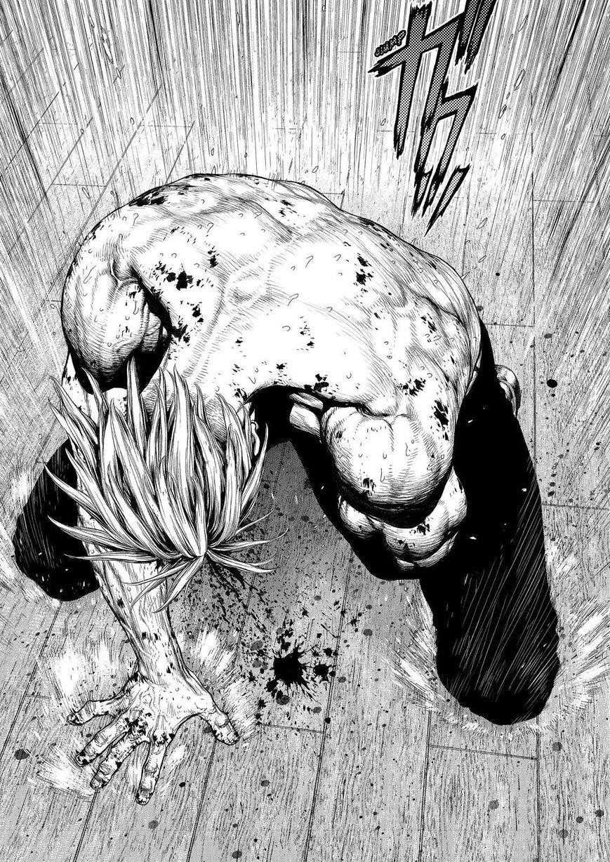 Page 17 of Chapter 161