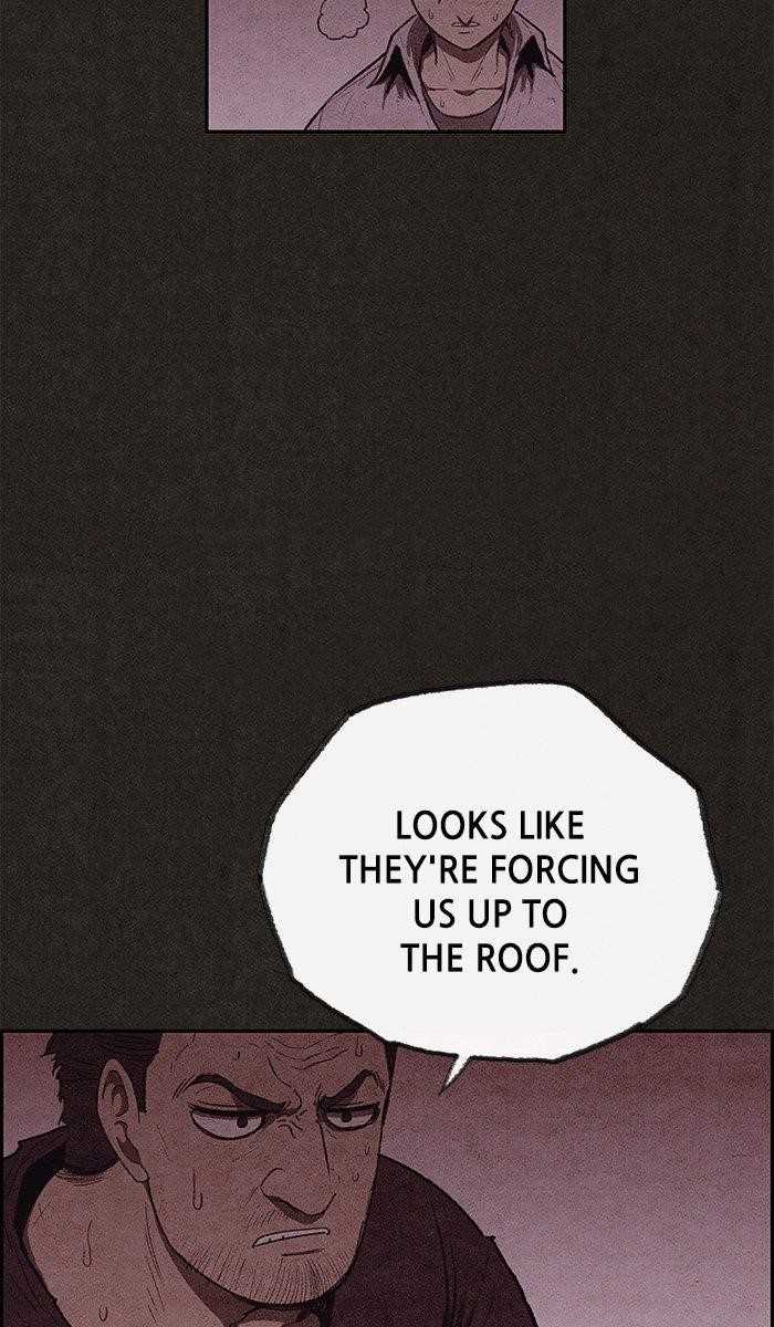 Page 44 of Chapter 114