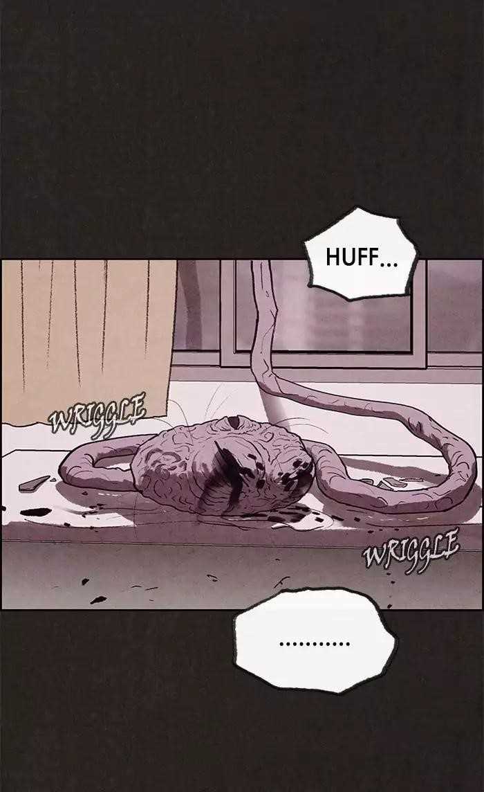 Page 61 of Chapter 15