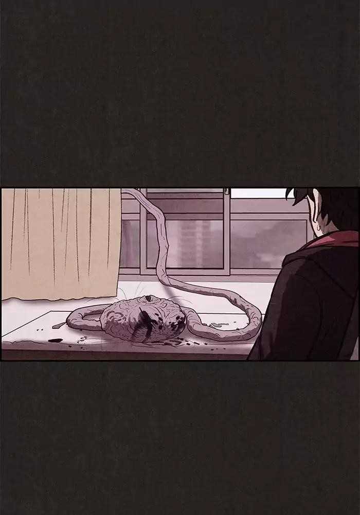 Page 67 of Chapter 15