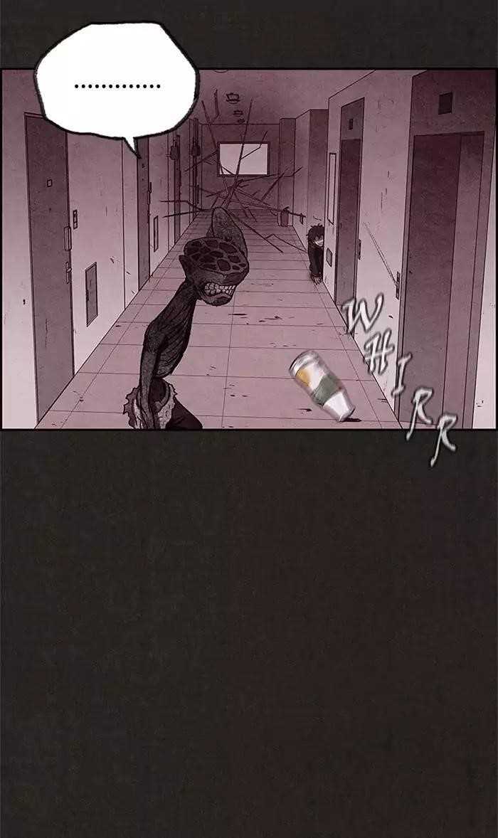 Page 43 of Chapter 19