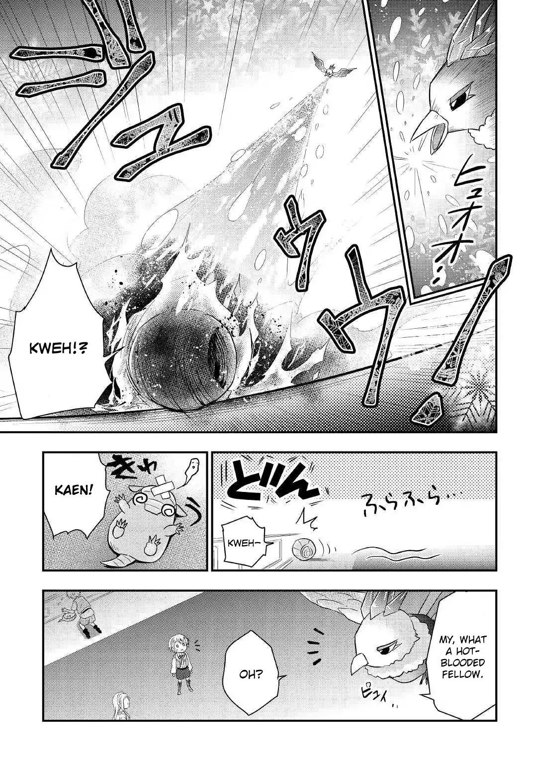 Page 17 of Chapter 2