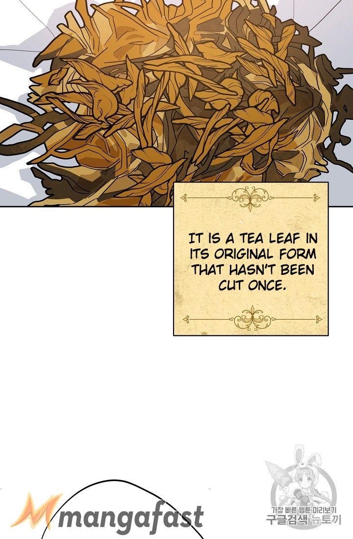 Page 78 of Chapter 74