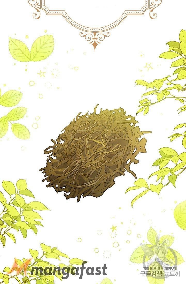 Page 15 of Chapter 77
