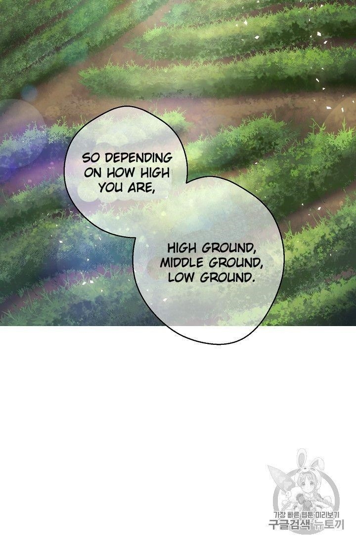 Page 19 of Chapter 77