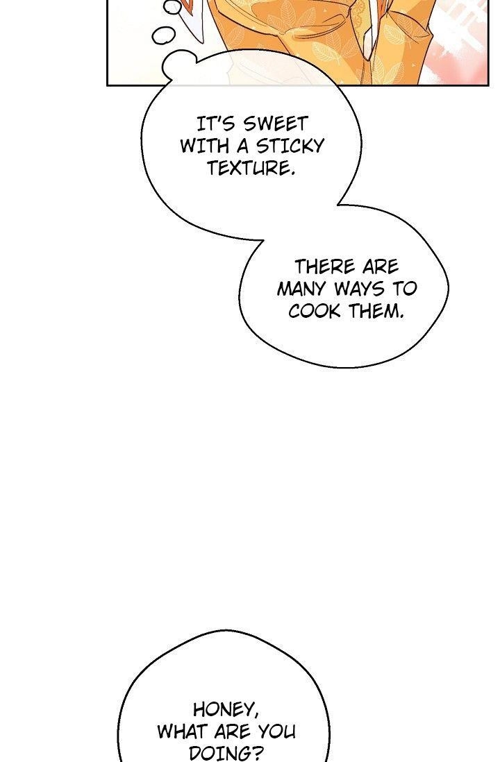 Page 67 of Chapter 81