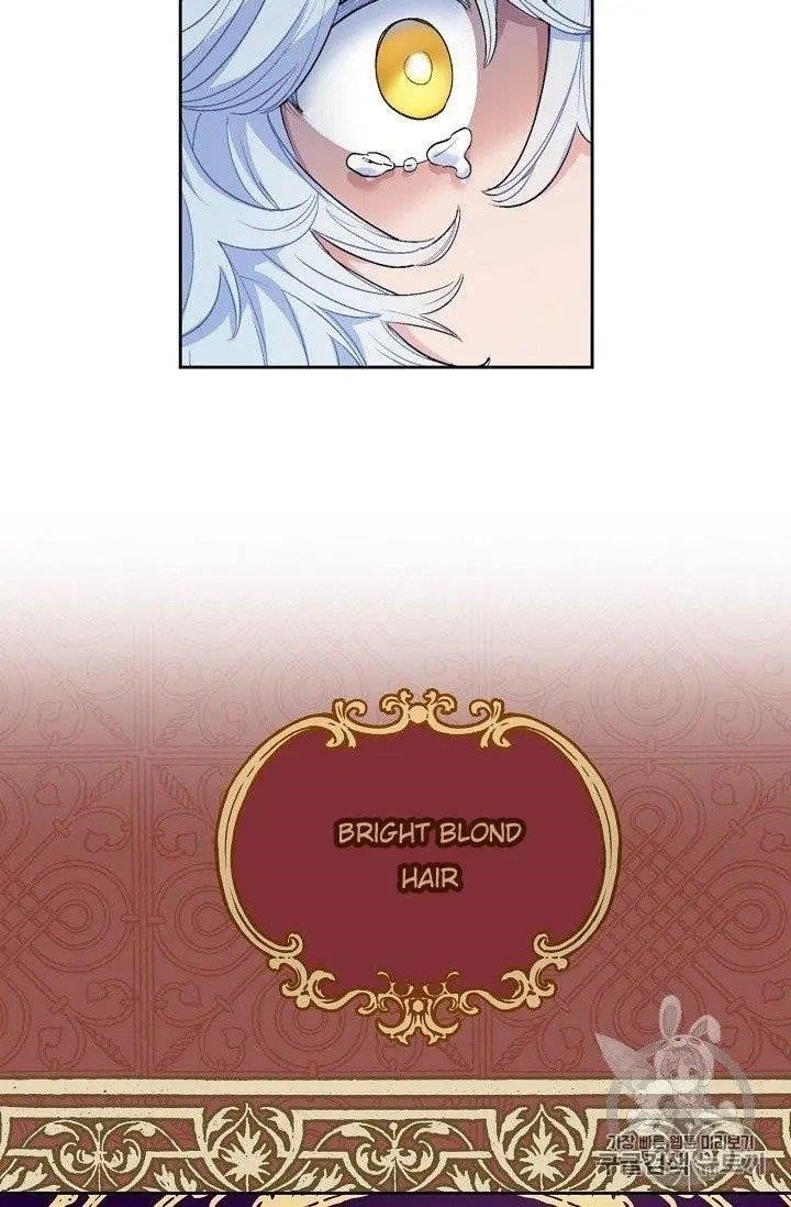 Page 29 of Chapter 96