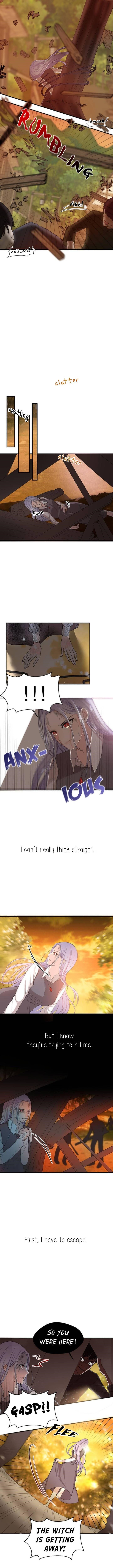 Page 3 of Chapter 2
