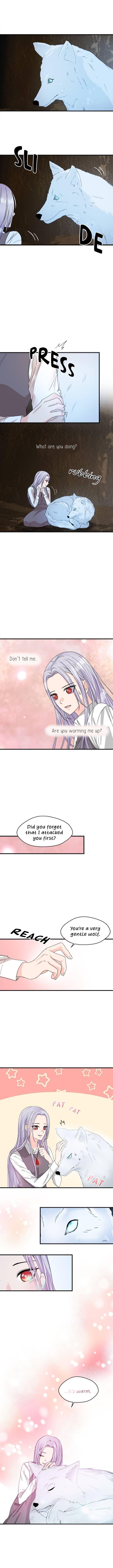 Page 11 of Chapter 3