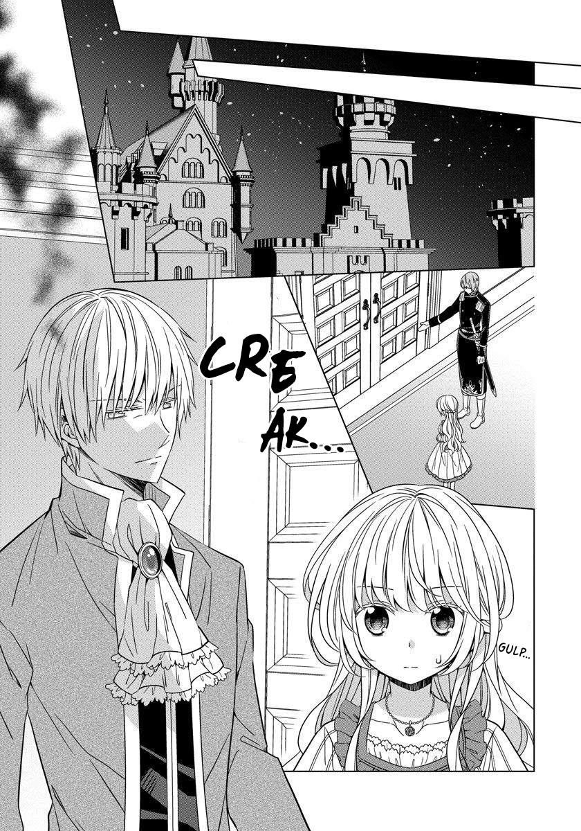 Page 15 of Chapter 19