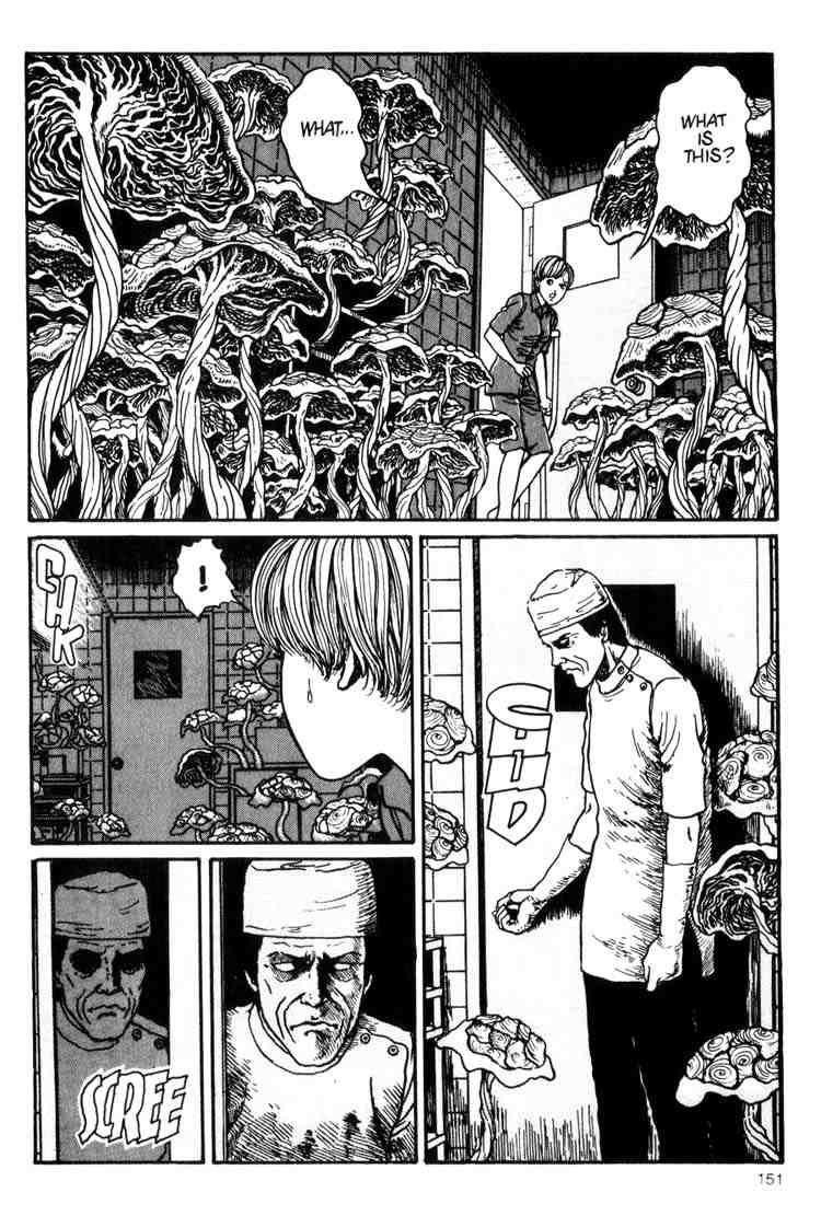 Page 21 of Chapter 11