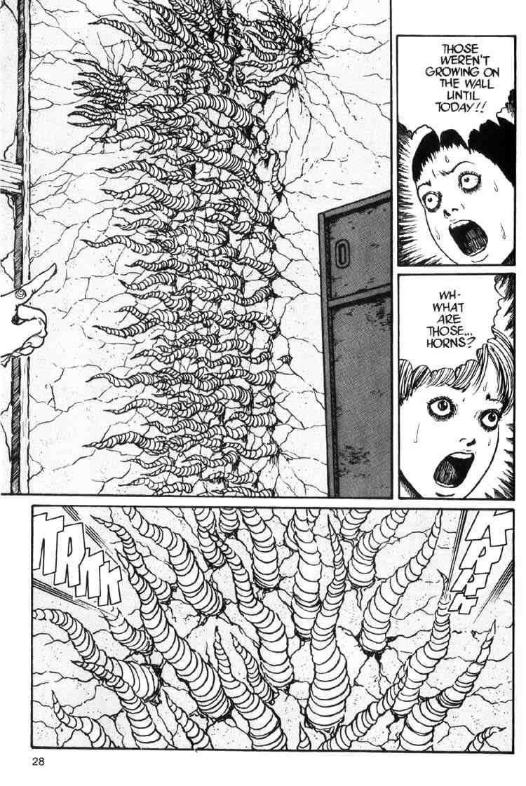 Page 27 of Chapter 13