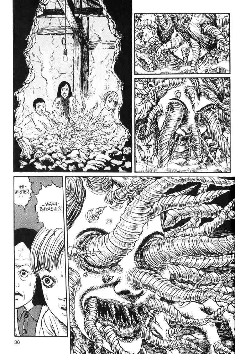Page 29 of Chapter 13