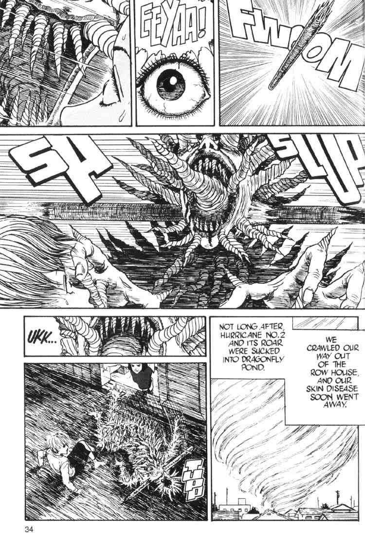 Page 33 of Chapter 13