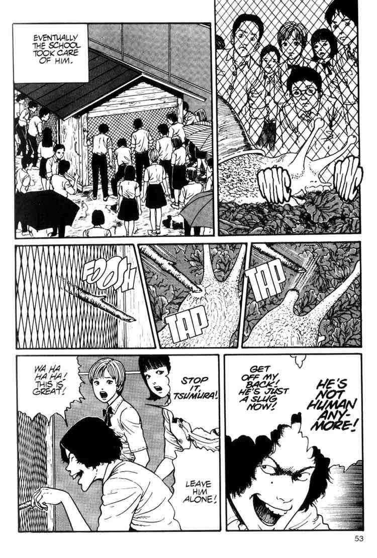 Page 19 of Chapter 8