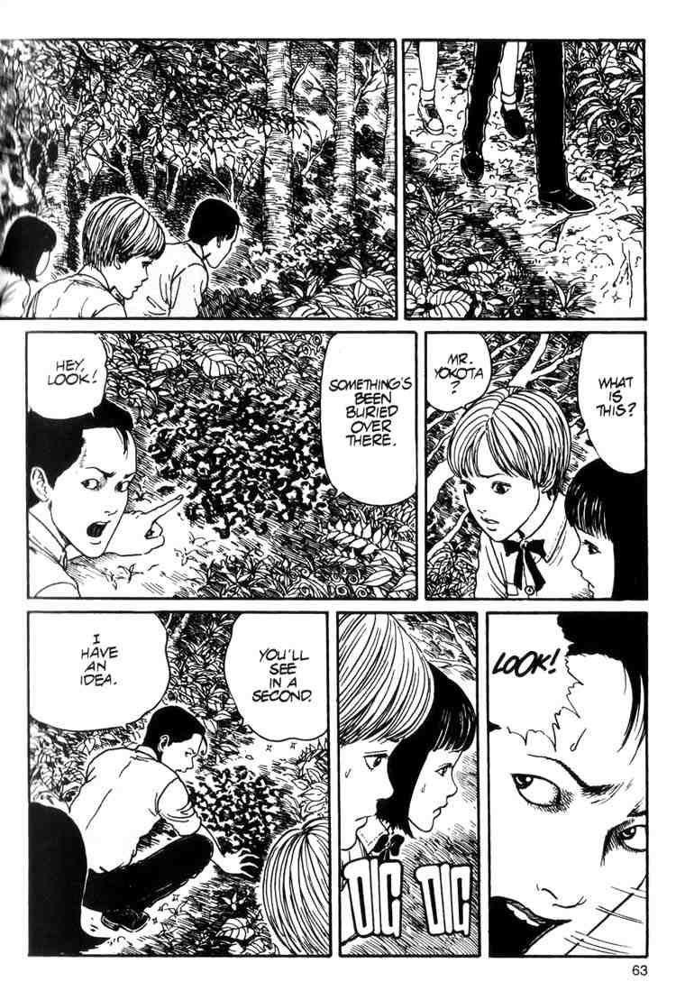 Page 29 of Chapter 8