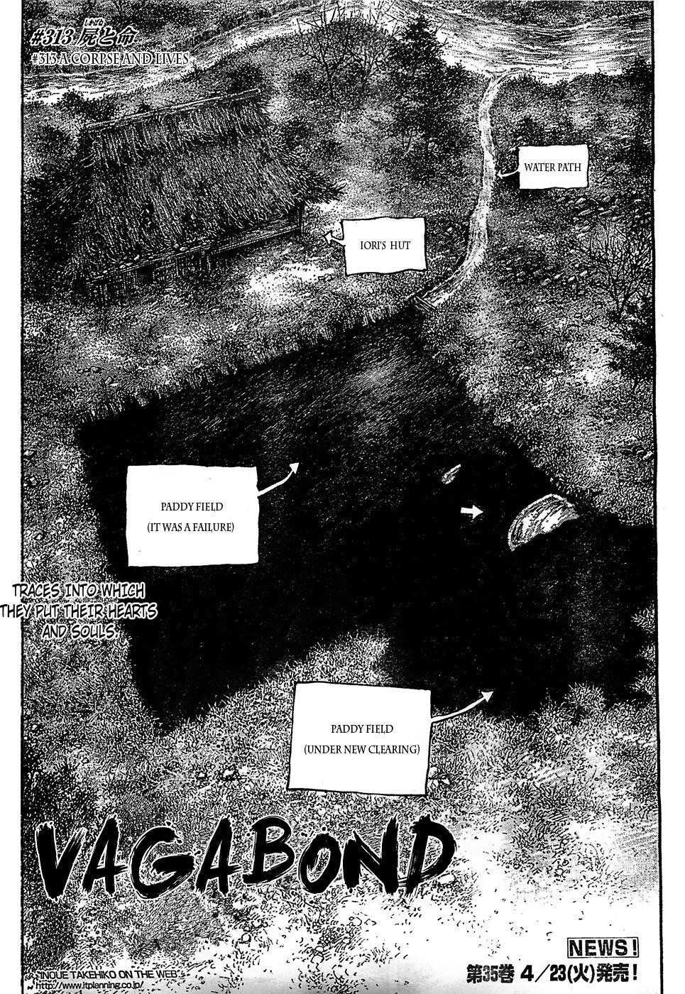 Page 3 of Chapter 313