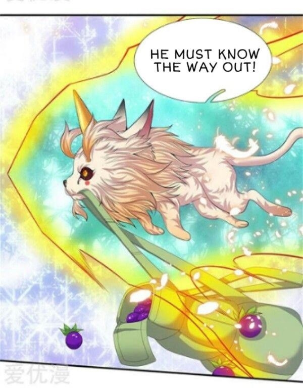 Page 13 of Chapter 81